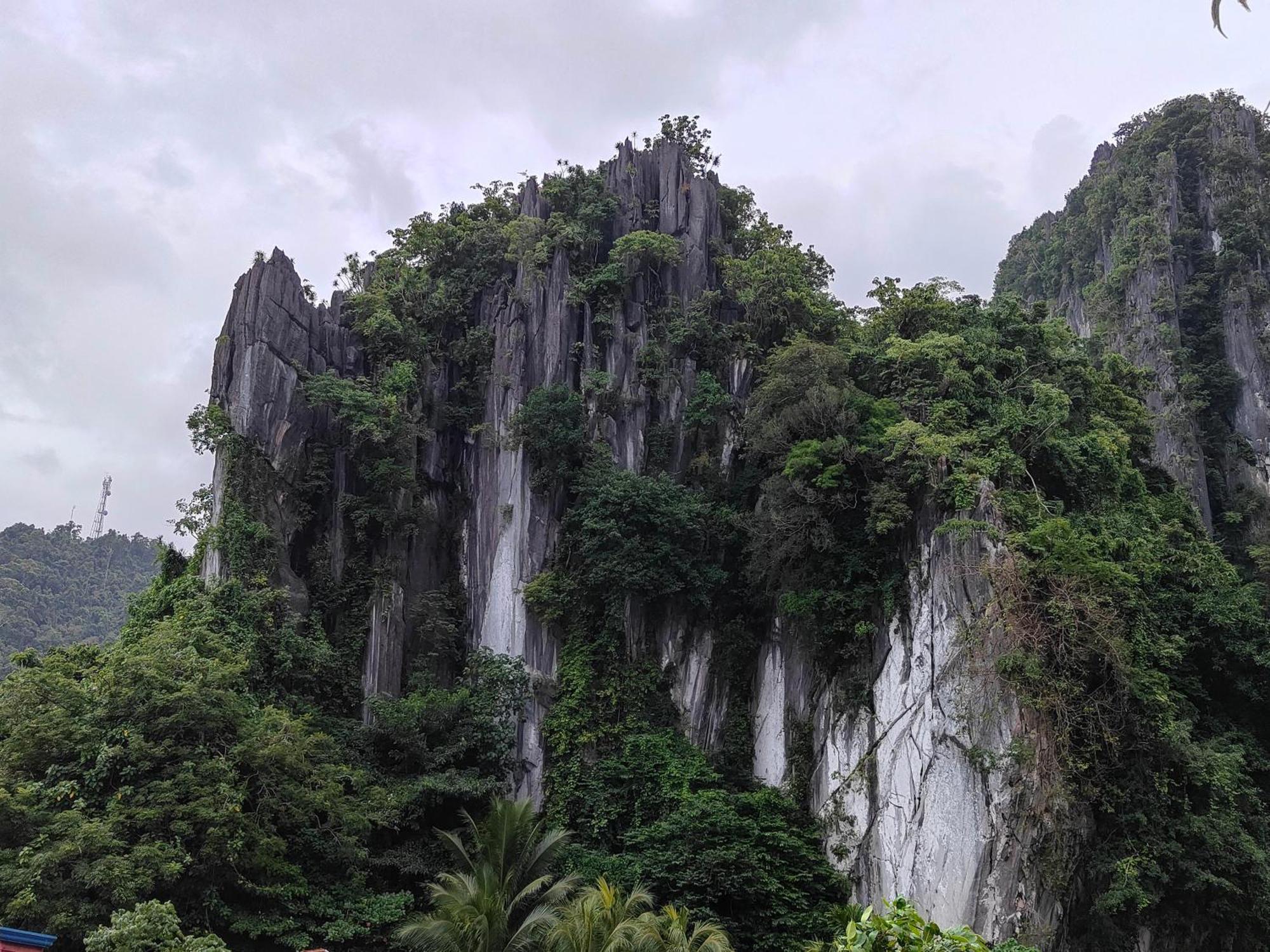 Alocasia Hostel El Nido Kültér fotó